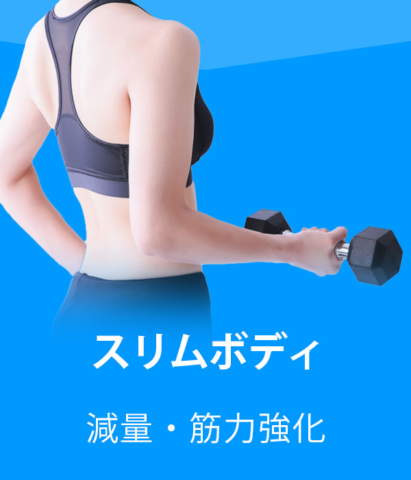 スリムボディ／減量・筋力強化